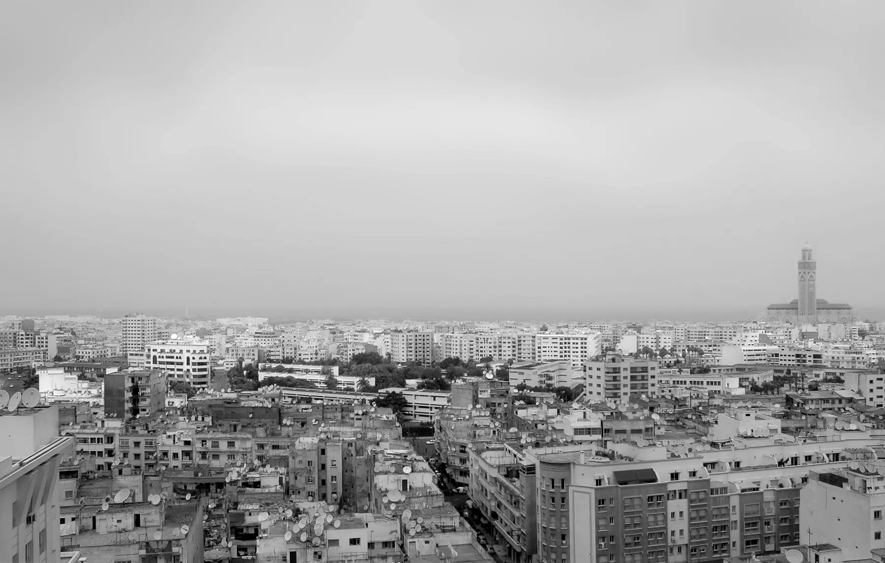 Toits de Casablanca en noir et blanc, couverts d'antennes paraboliques, avec la mosquée Hassan II à l'horizon.